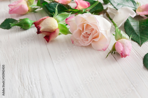 Valentine day background, rose flowers on white wood