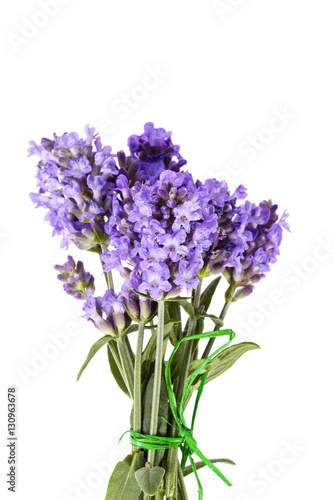 bouquet of violet  lavender flowers isolated on white background