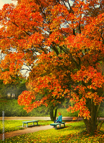 fall sceen with poplar tree bench and girl photo