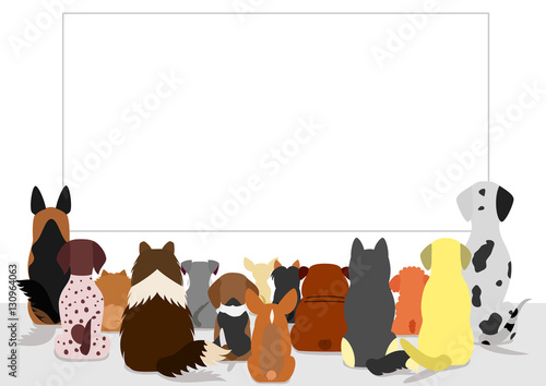 dogs group looking at blank board, rear view