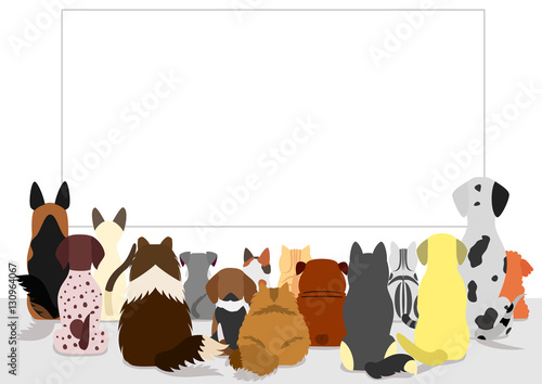 cats and dogs group looking at blank board, rear view