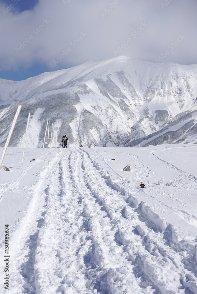 Mudoro field in November with snow mountain background Mudoro field in November with snow mountain background