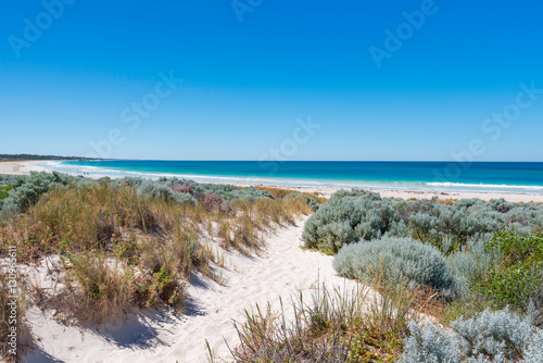 Fototapeta Naklejka Na Ścianę i Meble -  australian summer beach scene
