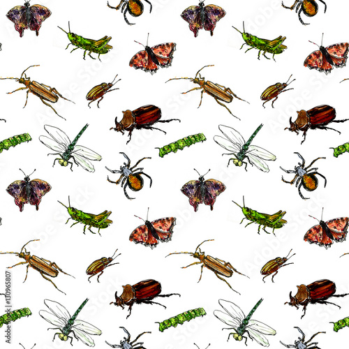 seamless pattern with watercolor drawing insects