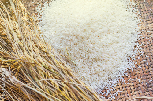 White rice and pile of paddy on the bamboo plate, raw cereals.