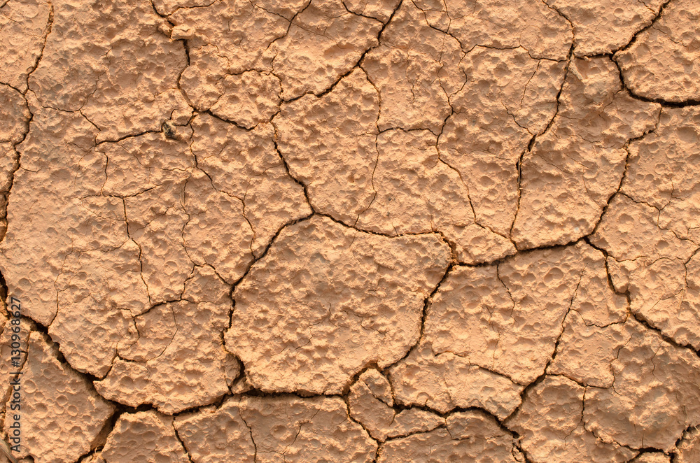Close up dry crack soil texture background. Close up dry crack soil texture background.