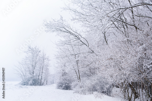 Winter wonderland background. amazing snowy landscape with Snow-covered trees