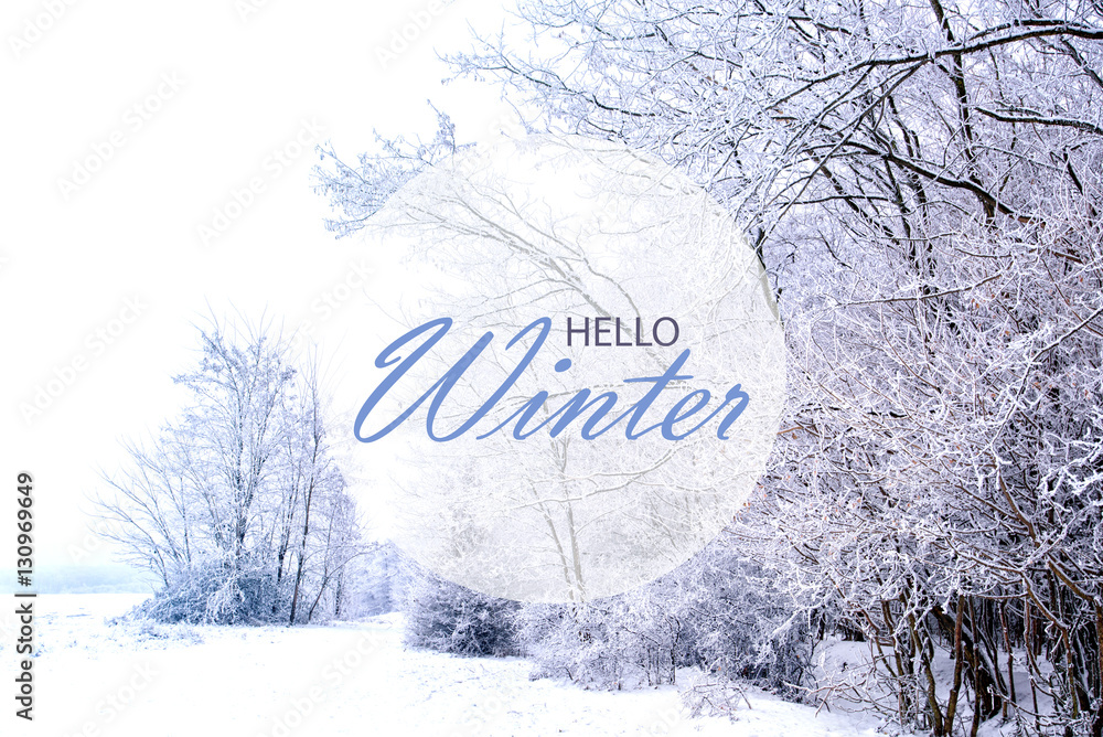 Hello Winter wallpaper, winter landscape with frozen forest Stock Photo |  Adobe Stock