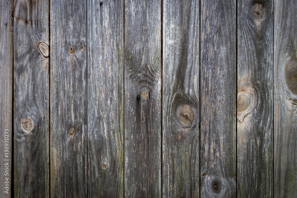 Fototapeta premium The old wood texture with natural patterns