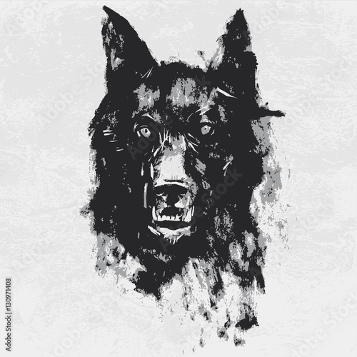 Watercolor drawing of black angry looking wolf. Animal portrait on white background.
