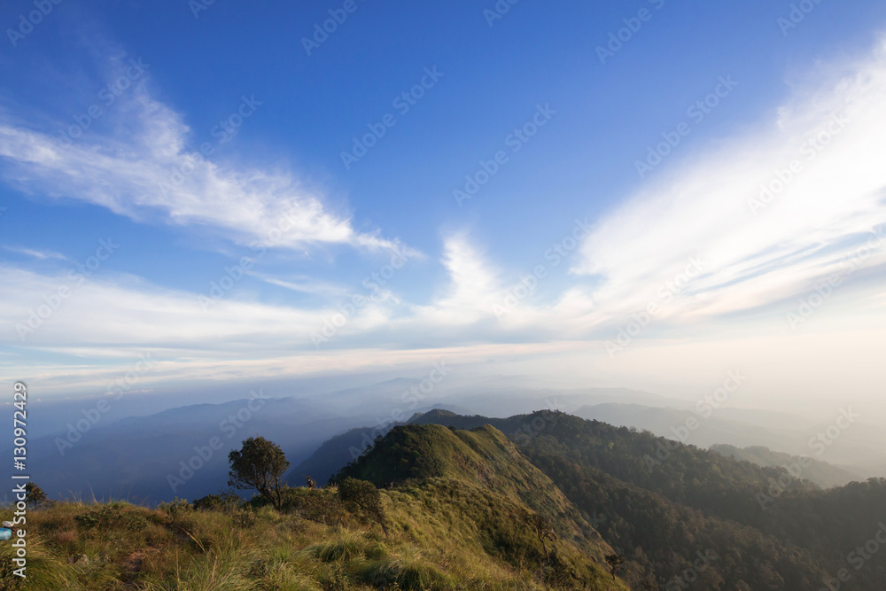 mountain in north Thailand through the fog
mountain in north Thailand through the fog