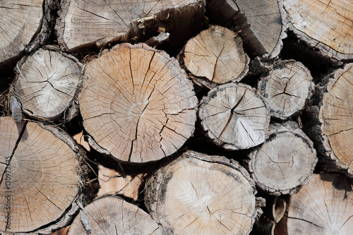 pattern of brown wood log background texture