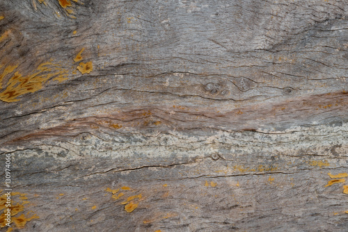 Peeled brown painted wood texure