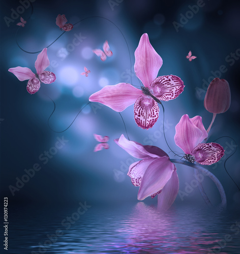Amazing butterflies from the petals of orchids, floral background. Flowers an...