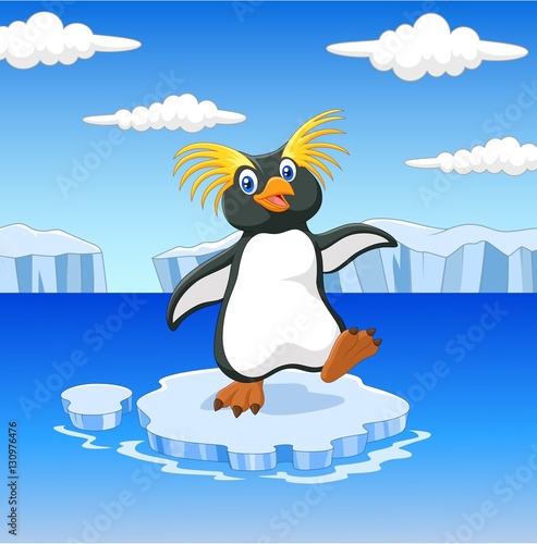 Happy cartoon penguin rockhopper standing on ice floe