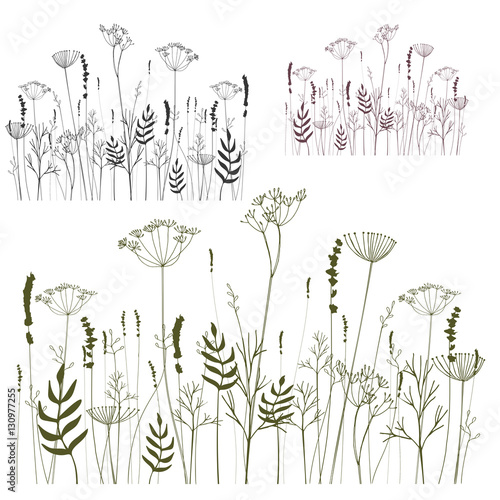 Meadow floral elements background.