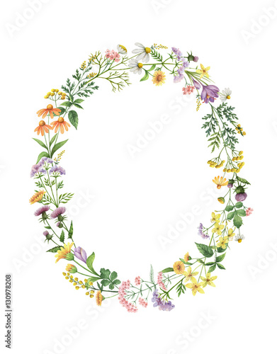 Watercolor oval wreath with meadow plants.