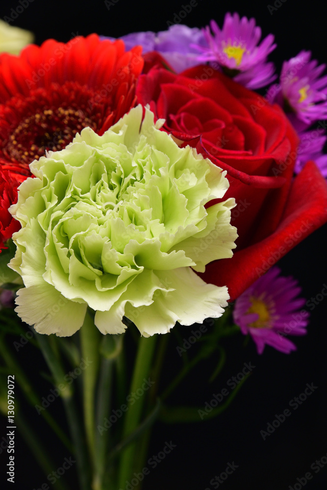 cut flower cut flower