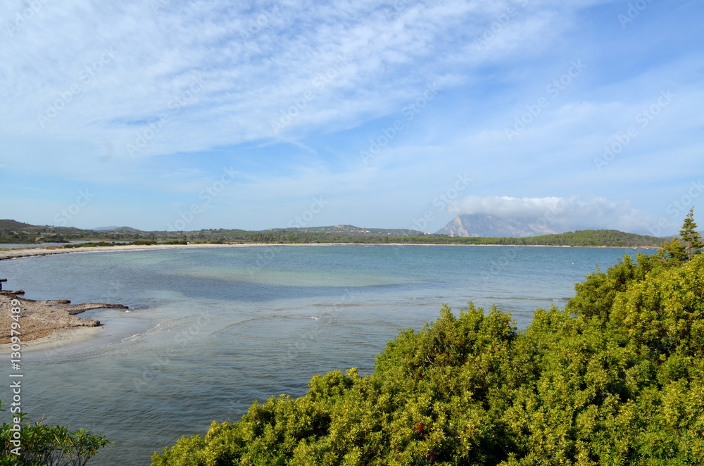 Panoramic view of the beach and the crystal sea of Sardinia Panoramic view of the beach and the crystal sea of Sardinia