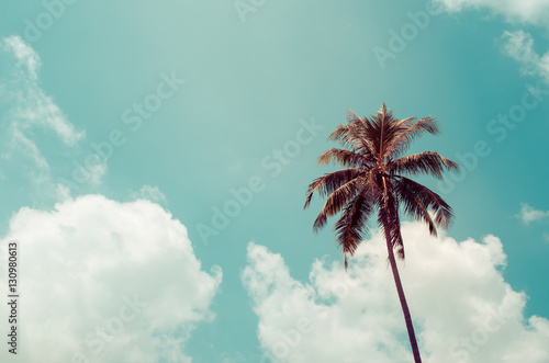 Copy space of palm tree on blue sky background.