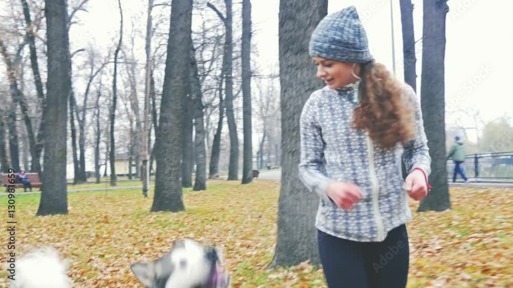Image of young girl playing with her dog, alaskan malamute Image of young girl playing with her dog, alaskan malamute