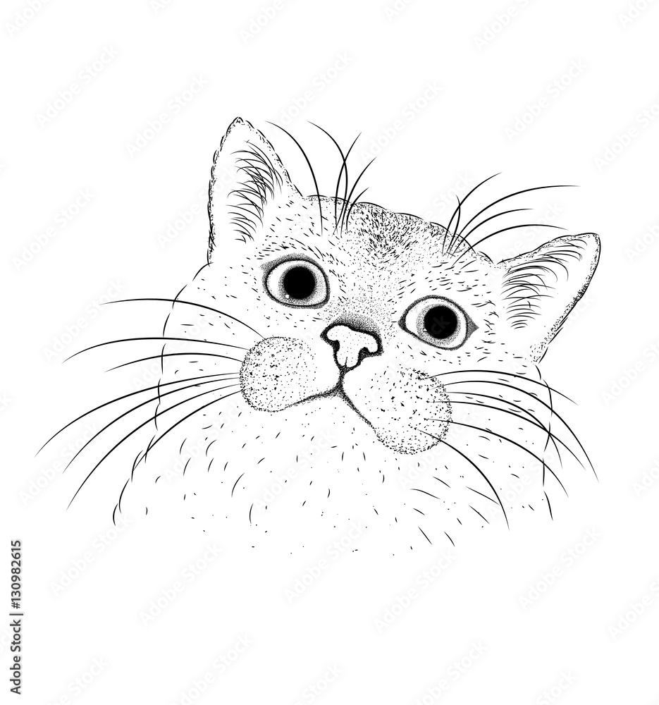 Obraz premium Hand draw cat portrait. Vector illustration