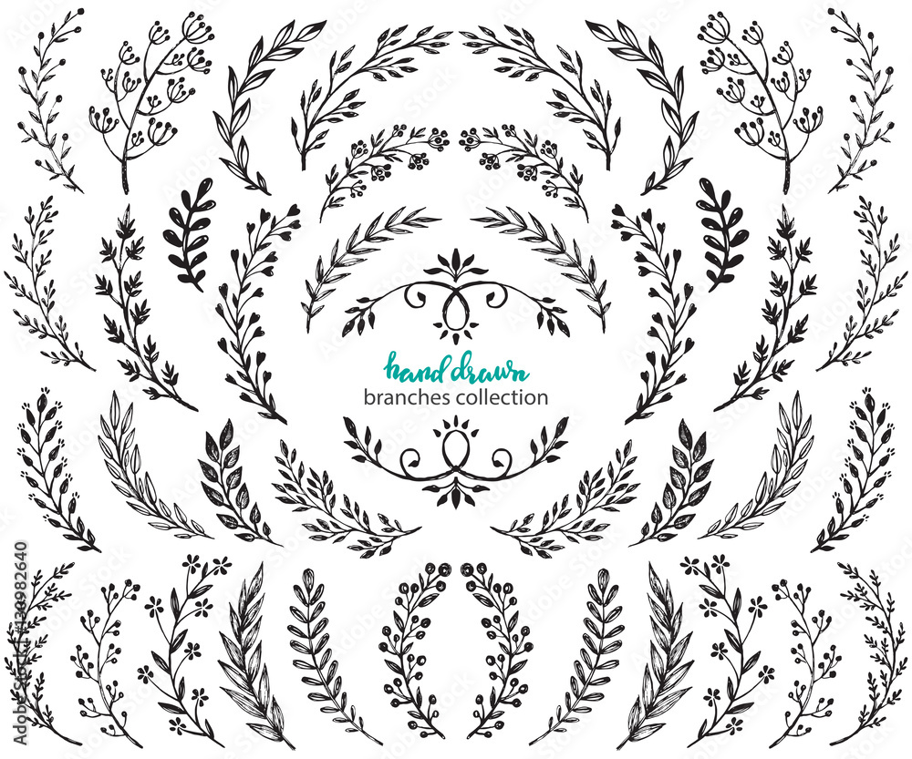 Big set of hand drawn vector flowers and branches with leaves, berries ...