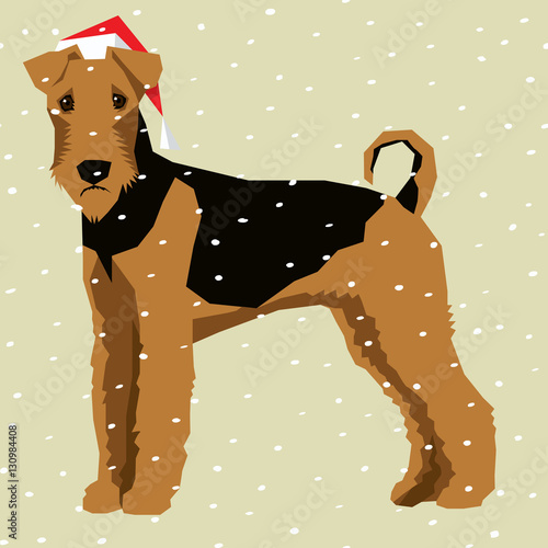 Vector Dogs Collection