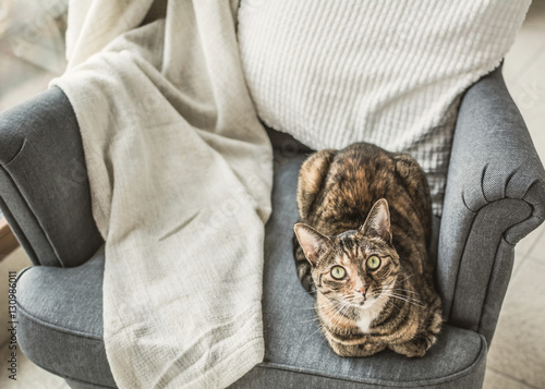 Fototapeta Naklejka Na Ścianę i Meble -  Tabby cat lying on comfortable armchair and looking up.