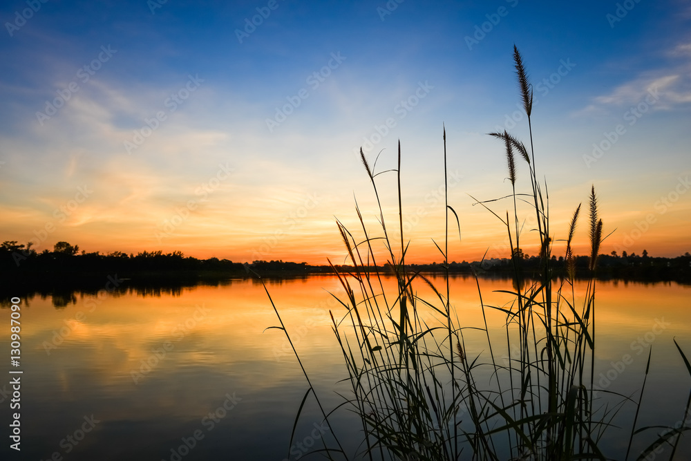 silhouette of grass flower on sunset silhouette of grass flower on sunset