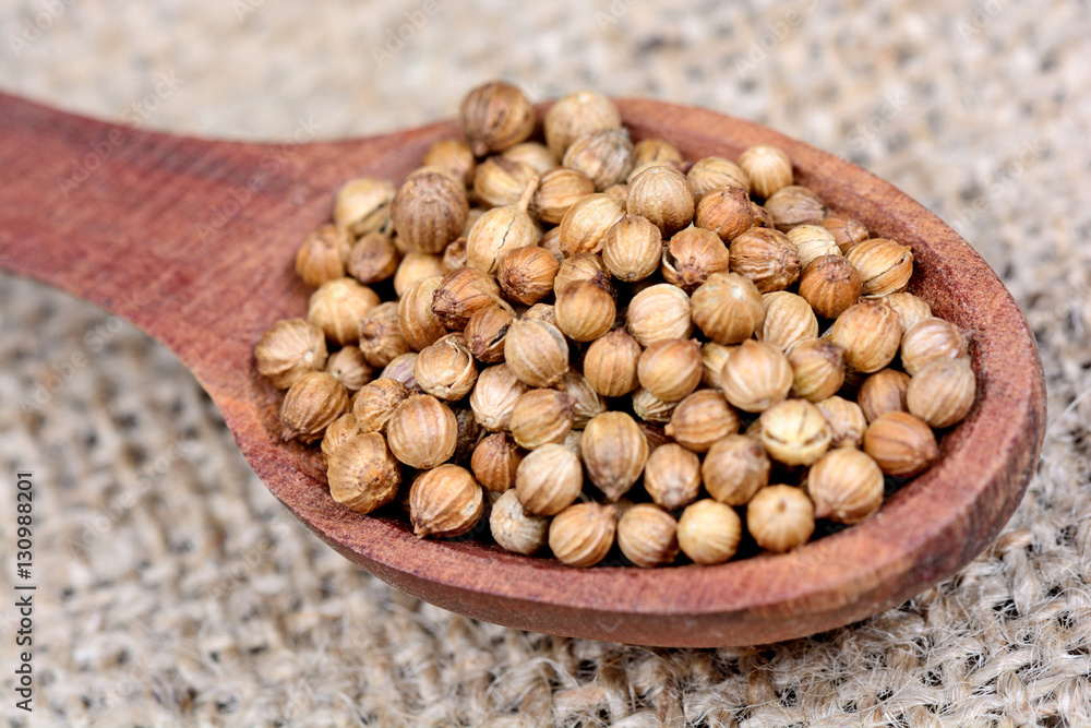 Coriander seeds in a spoon Coriander seeds in a spoon
