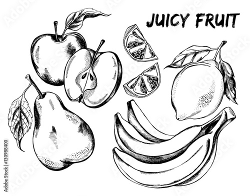 Hand drawn set of fruits - apple, pear, lemon, a bunch of bananas. Vector Illustration.