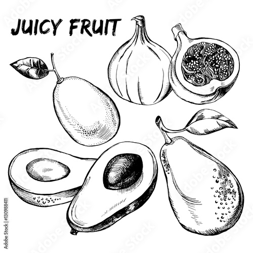 Hand drawn set of fruits - kumquat, figs, avocados. Vector Illustration.