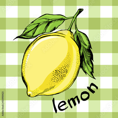Lemon on the Vichy background. Vector Illustration. 