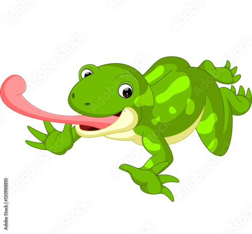 Cute frog cartoon    