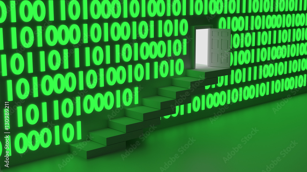Backdoor in a binary wall concept Backdoor in a binary wall concept