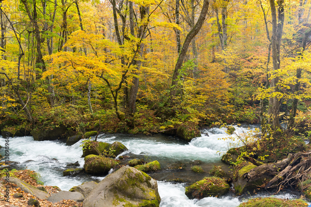 Waterfall in Oirase stream at Towada Waterfall in Oirase stream at Towada
