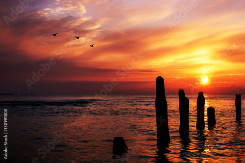 Wallpaper Mural Beautiful orange sunset at sea escorting the sun Torontodigital.ca