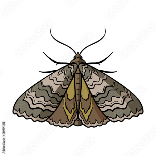 Moth icon in cartoon style isolated on white background. Insects symbol stock vector illustration.