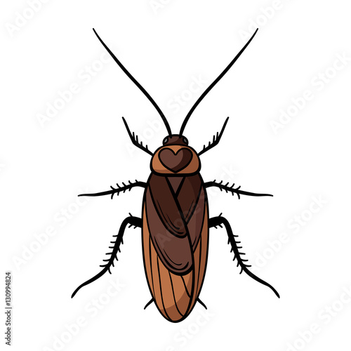 Cockroach icon in cartoon style isolated on white background. Insects symbol stock vector illustration.