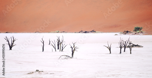 Sossusvlei, Namibia © rufar