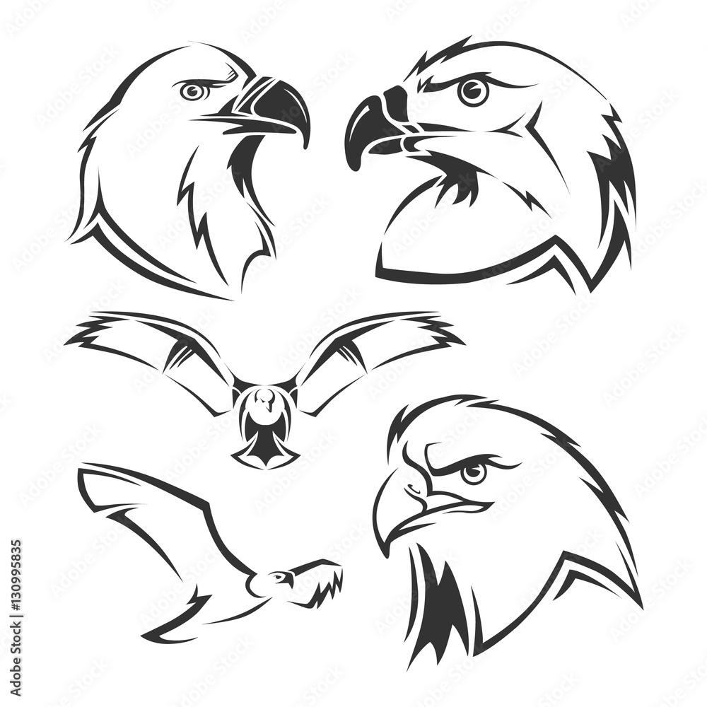 Obraz premium Eagle, hawk vector mascots set