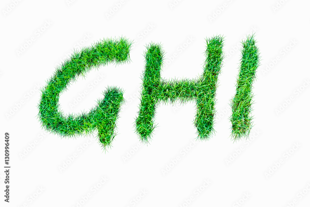 Fototapeta premium Green nature real grasss def font.
