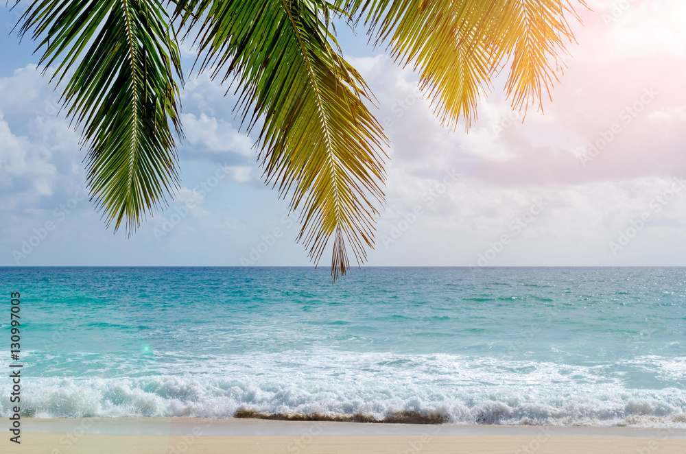 Tropical beach with palm leaf and sun light