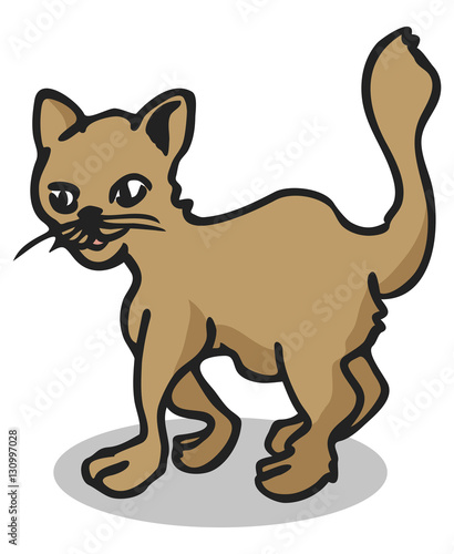 Katze geht