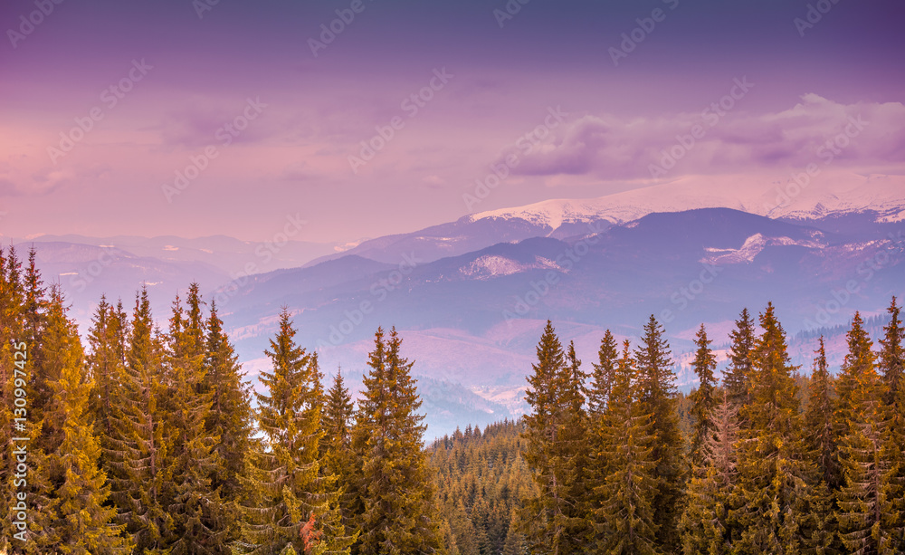 Fantastic mountain peaks and forest under morning blue sky. Dramatic scenery. Carpathian, Ukraine, Europe. Beauty world