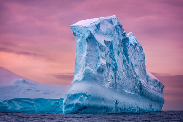 Poster Antarctica IJsberg bij roze zonsondergang Antarctica  © Goinyk