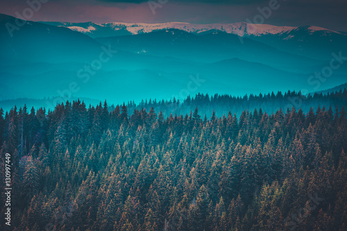 Fantastic mountain peaks and forest under morning blue sky. Dramatic scenery. Carpathian, Ukraine, Europe. Beauty world