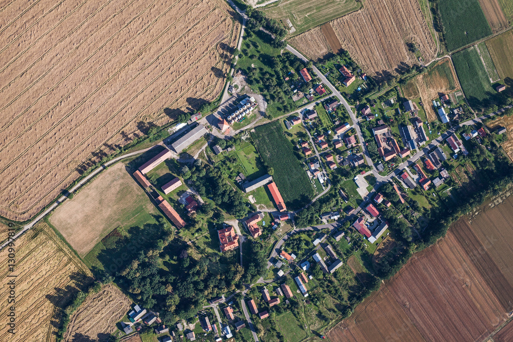 aerial view of  village and green harvest fields