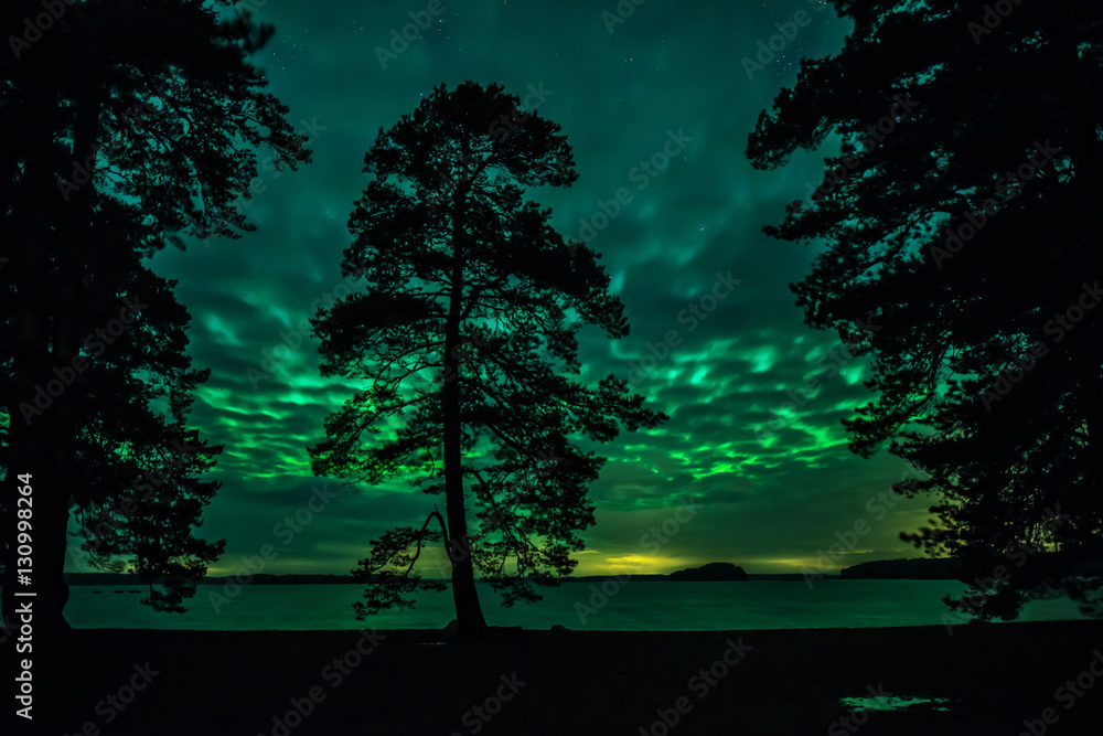Fototapeta premium Northern lights dancing over calm lake in Sweden